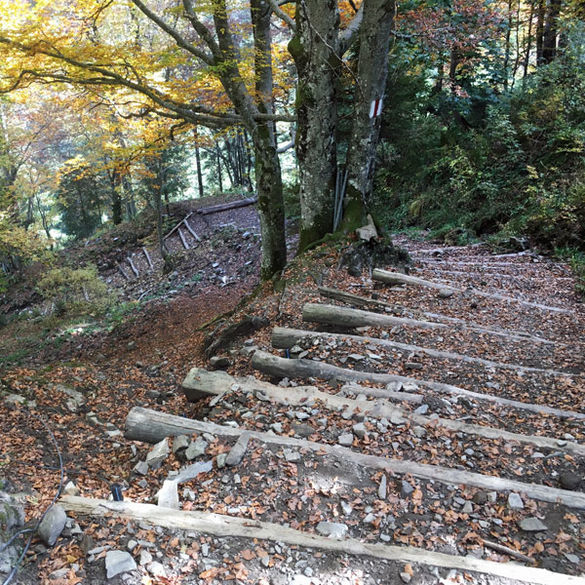 Bild Wanderweg mit Stiegen